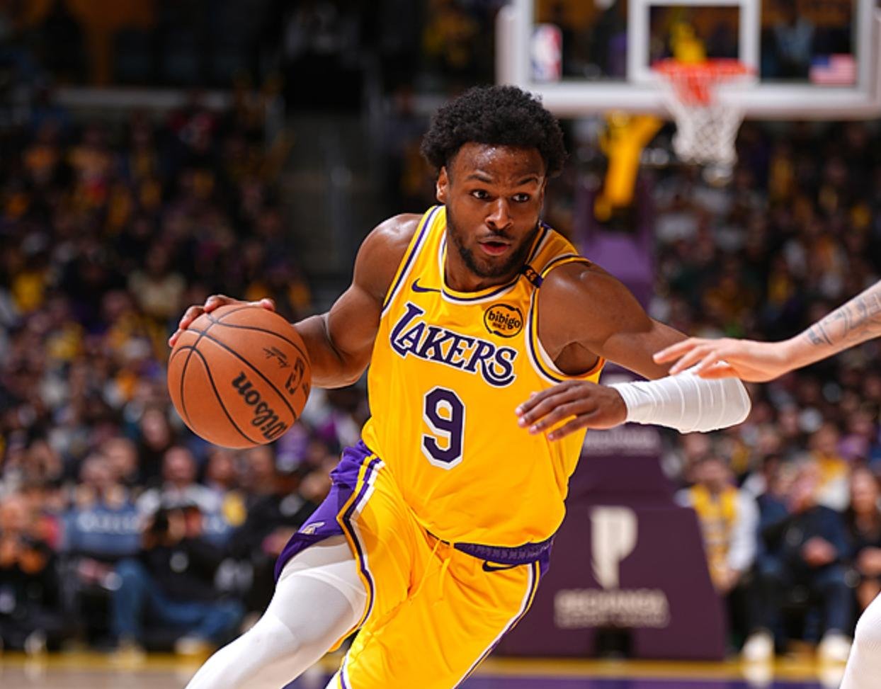 AYX SPORTS官网 雄鹿knight 